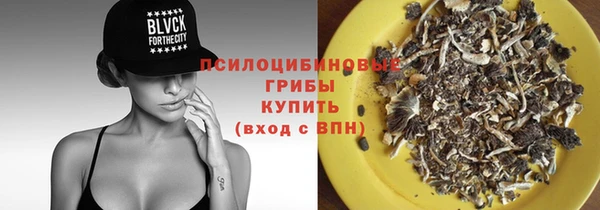 spice Вяземский