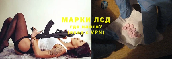 spice Вяземский
