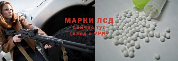 spice Вяземский