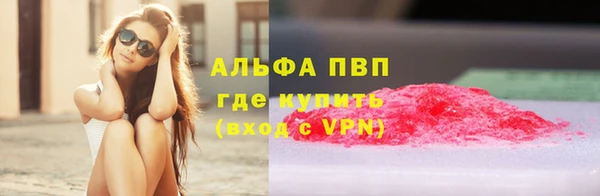 spice Вяземский