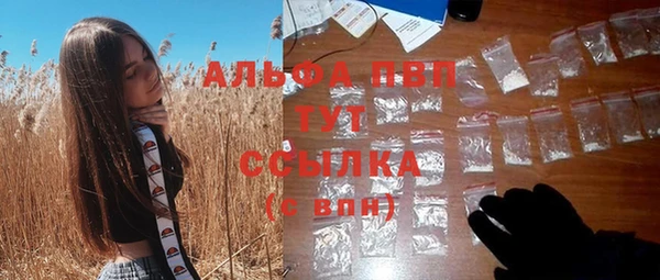 spice Вяземский