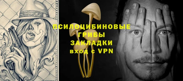 spice Вяземский