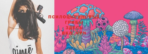 винт Вязники