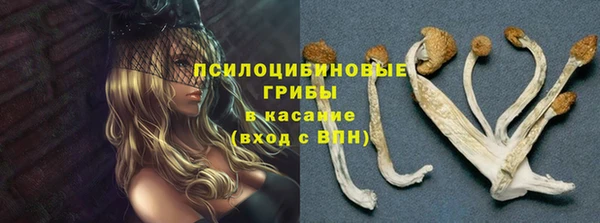 винт Вязники